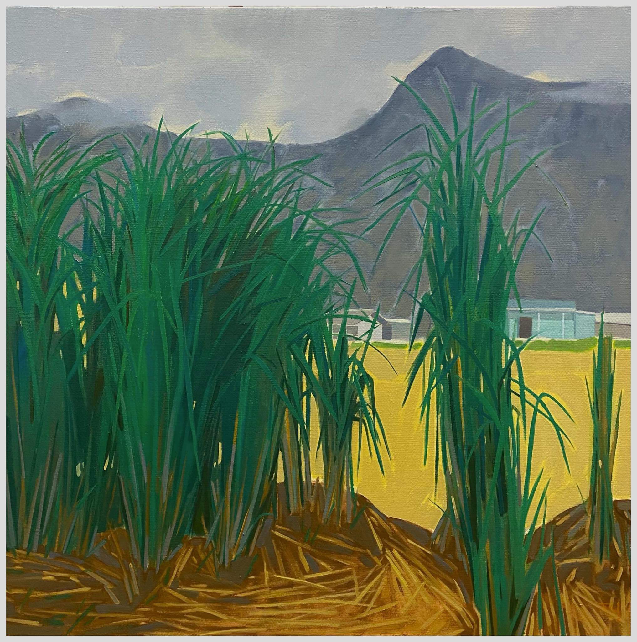 Phong cảnh Hà Giang